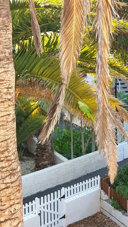 Studio With Garden Arona  Exterior foto